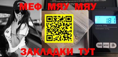 мдпв Кингисепп