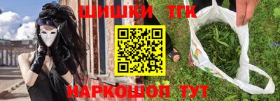 мдпв Кингисепп