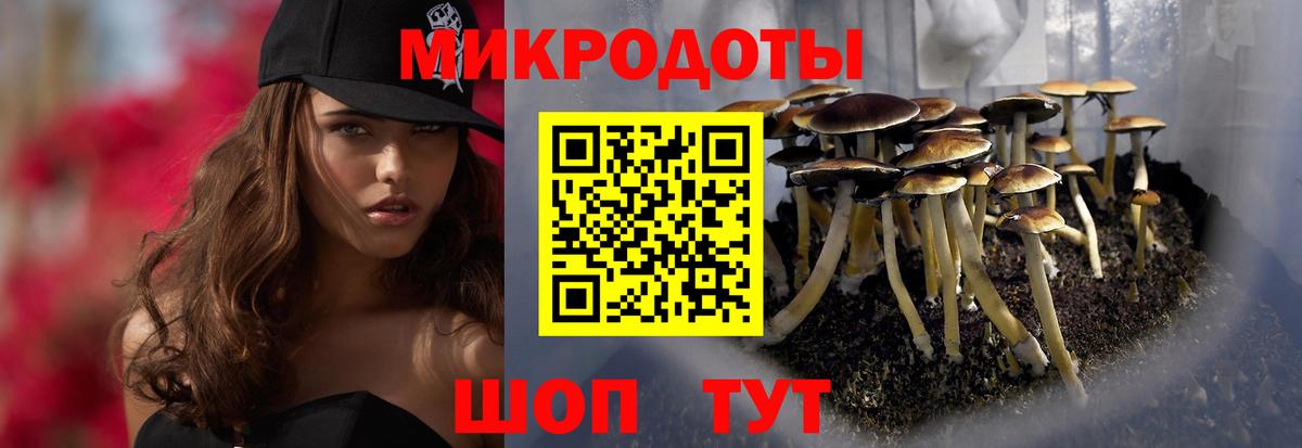 Псилоцибиновые грибы прущие грибы  Галлюциногенные грибы GOLDEN TEACHER  Лесозаводск  наркотики  Вход с VPN 